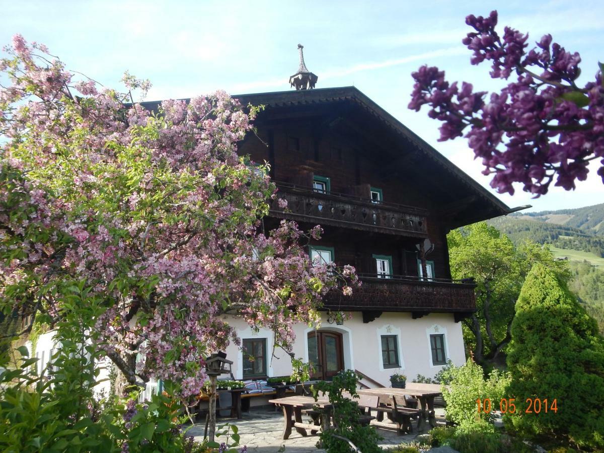 Pension Schachernhof Ξενοδοχείο Mittersill Εξωτερικό φωτογραφία